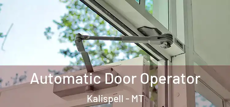  Automatic Door Operator Kalispell - MT