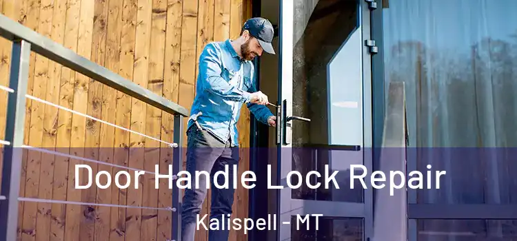 Door Handle Lock Repair Kalispell - MT
