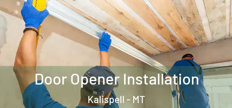  Door Opener Installation Kalispell - MT
