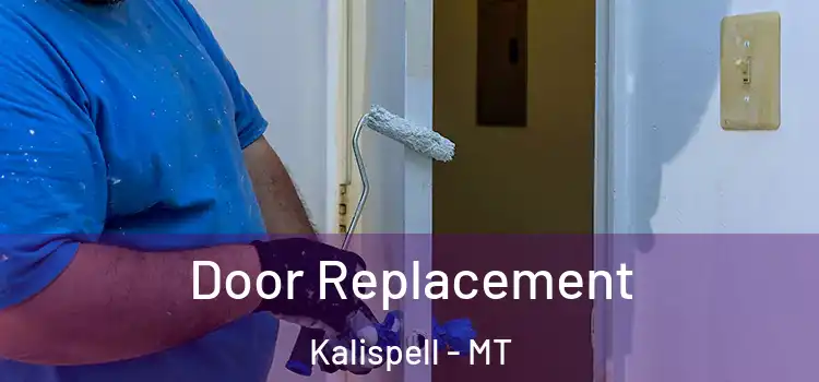  Door Replacement Kalispell - MT