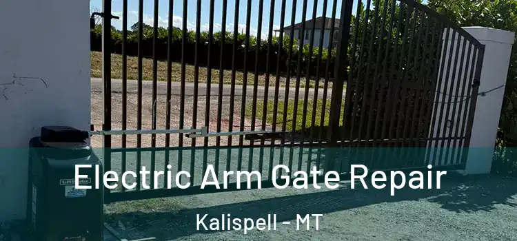 Electric Arm Gate Repair Kalispell - MT