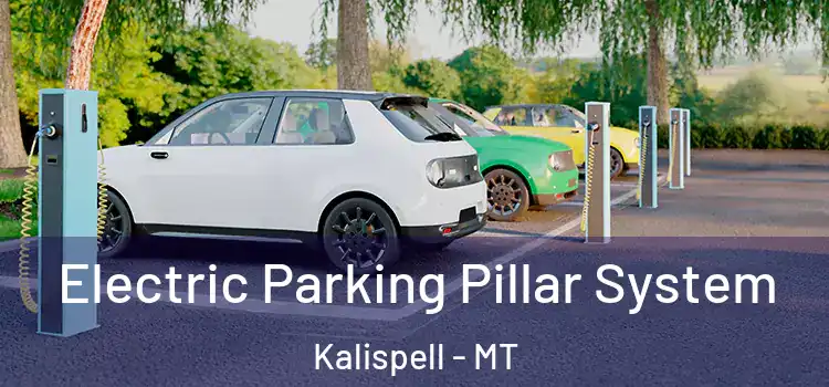  Electric Parking Pillar System Kalispell - MT