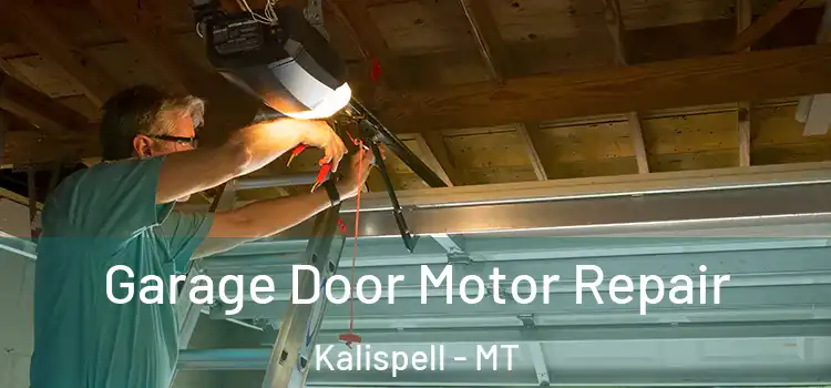 Garage Door Motor Repair Kalispell - MT