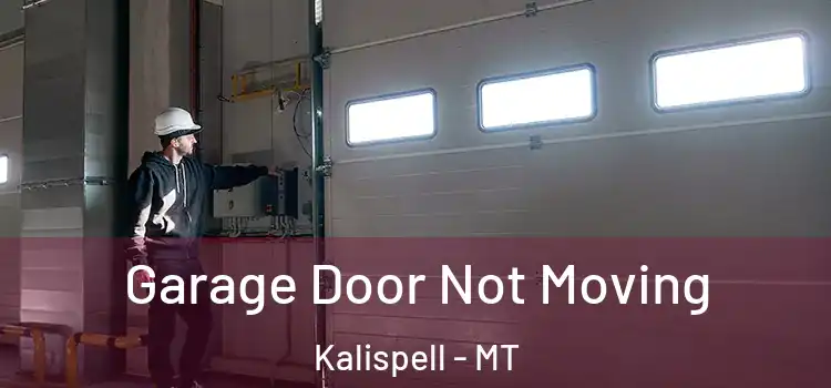  Garage Door Not Moving Kalispell - MT