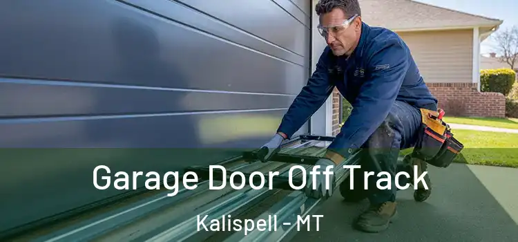  Garage Door Off Track Kalispell - MT