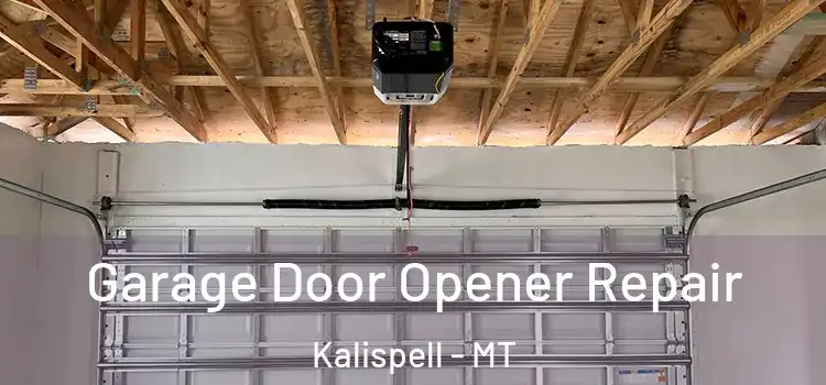  Garage Door Opener Repair Kalispell - MT
