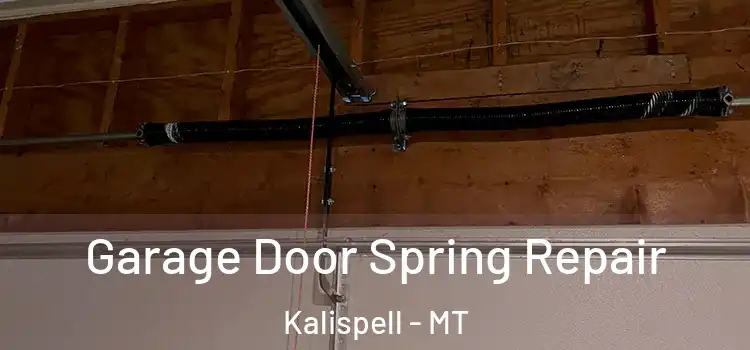  Garage Door Spring Repair Kalispell - MT