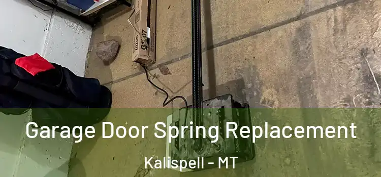 Garage Door Spring Replacement Kalispell - MT