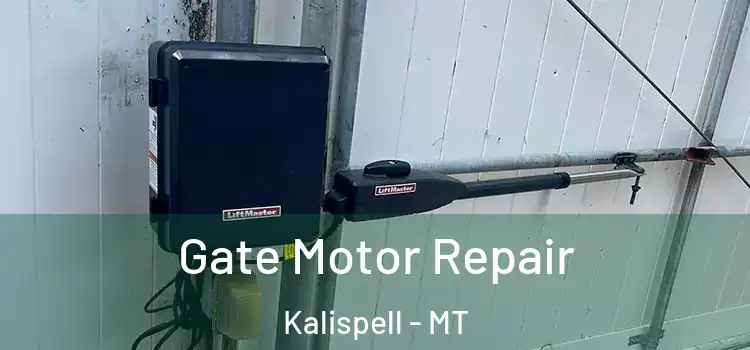 Gate Motor Repair Kalispell - MT