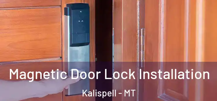  Magnetic Door Lock Installation Kalispell - MT