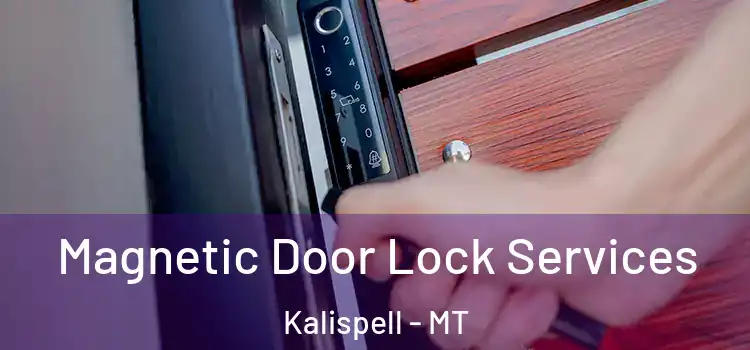Magnetic Door Lock Services Kalispell - MT