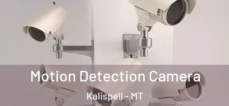  Motion Detection Camera Kalispell - MT