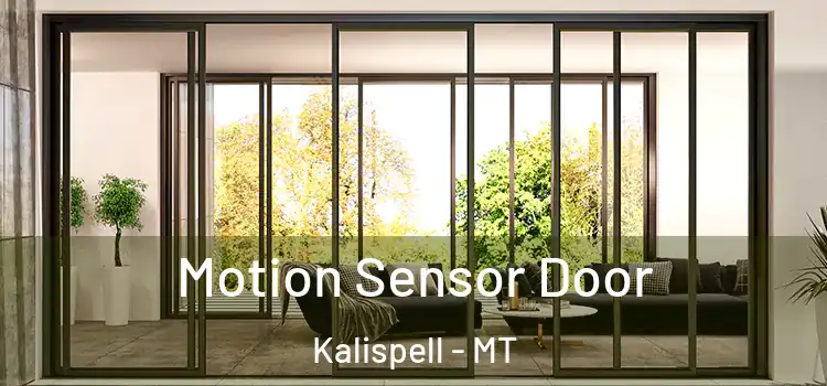 Motion Sensor Door Kalispell - MT