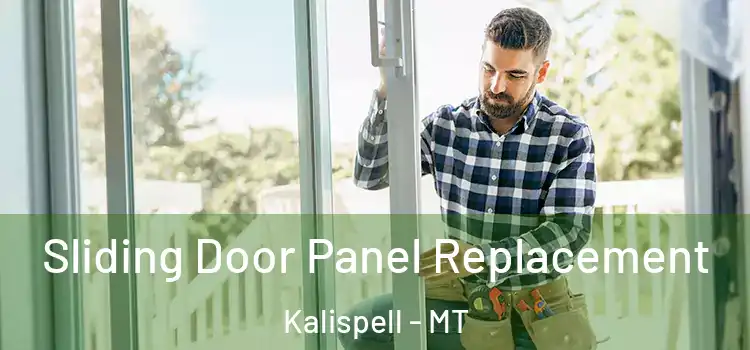  Sliding Door Panel Replacement Kalispell - MT