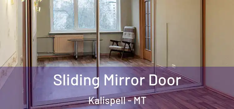  Sliding Mirror Door Kalispell - MT